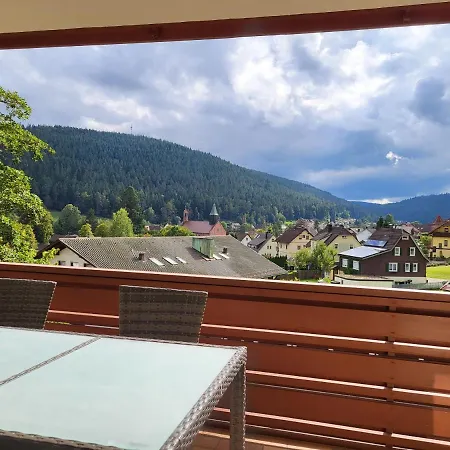Schwarzwaldsuite Mit Panorama Waldblick *