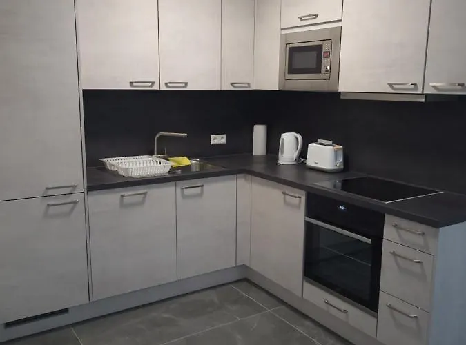 Apartment Schwarzwaldsuite Mit Panorama Waldblick